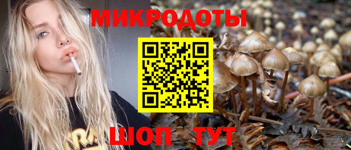 сколько стоит  Псилоцибиновые грибы Magic Shrooms  Саратов  Вход с VPN  Галлюциногенные грибы ЛСД 