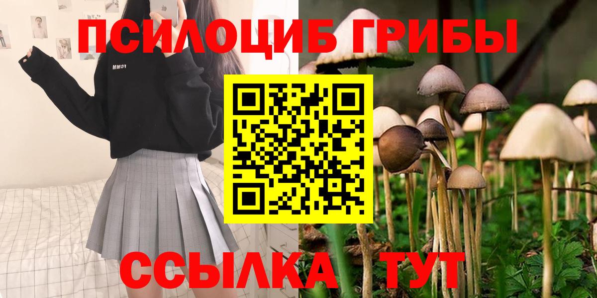 Псилоцибиновые грибы GOLDEN TEACHER Саратов